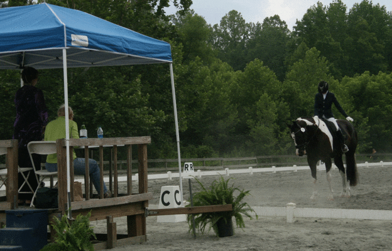 78-Halt-Dressage-Centerline