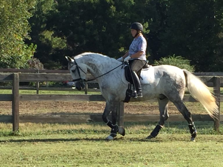 Barb Shannahan on Aero