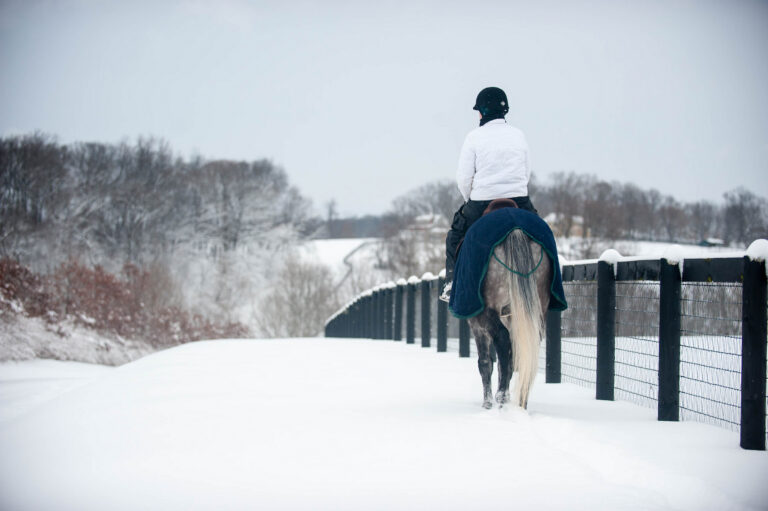 DressageCold_4