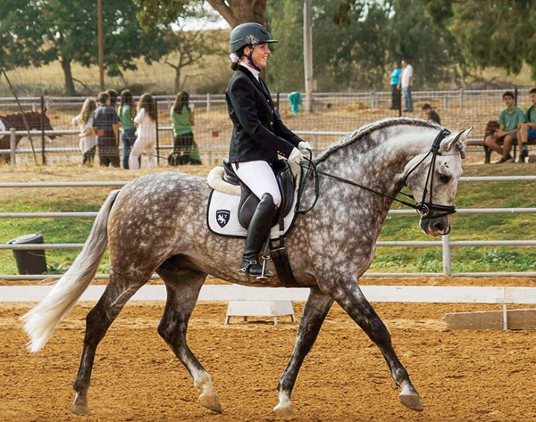 DT-quinones-mac-pre-stallion