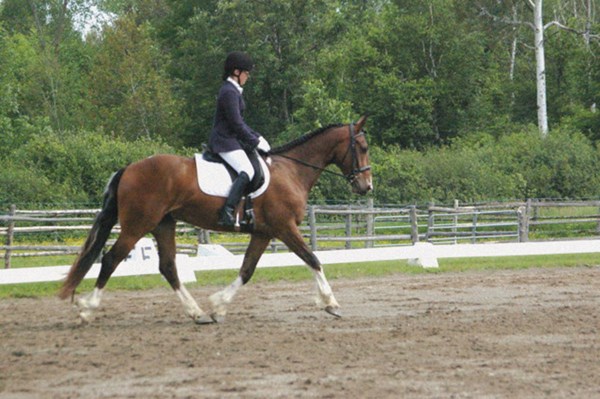 DTMP-110800-CLINIC-01-baytrot