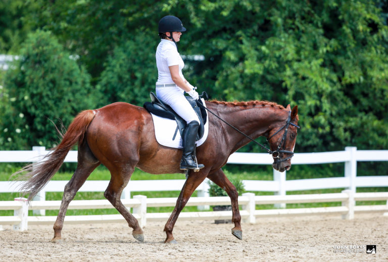 holly kranz and wrangler