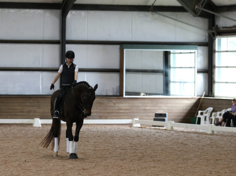 janet foy 2019 dressage tests third level