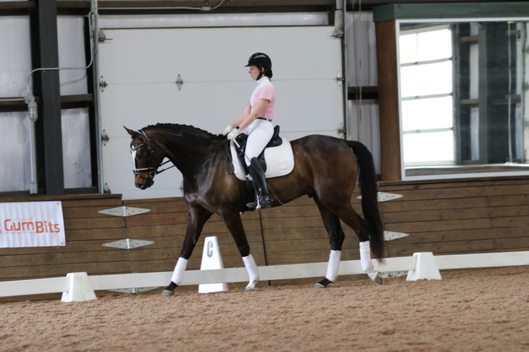 janet foy 2019 new test symposium second level dressage test
