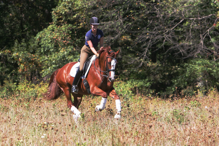 jj tate field dressage