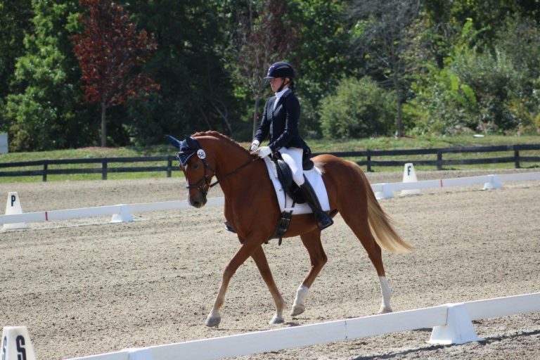 Meghan Drysdale wrosetta