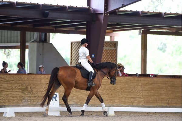 sandy vennemann on boomer