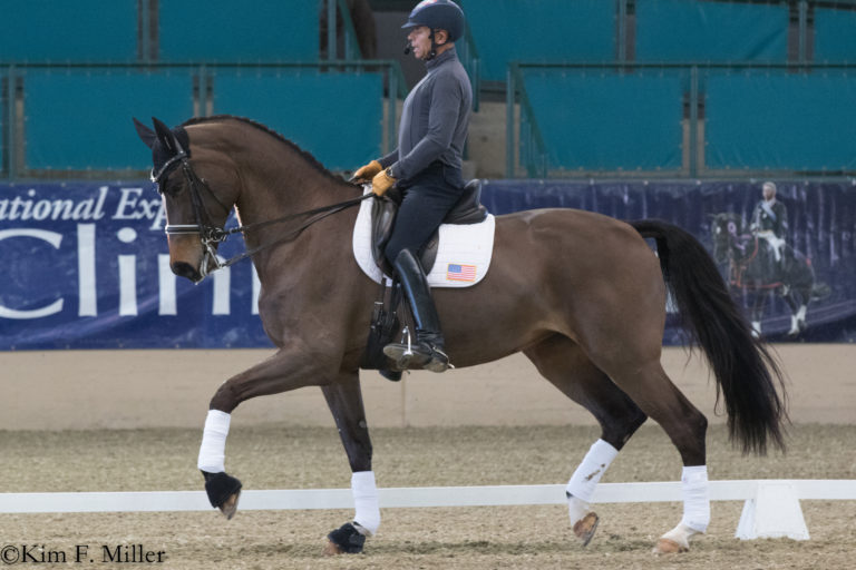 steffen peters cds