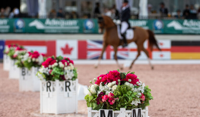 GERMichael KlimkeHarmony's Royal Dancer