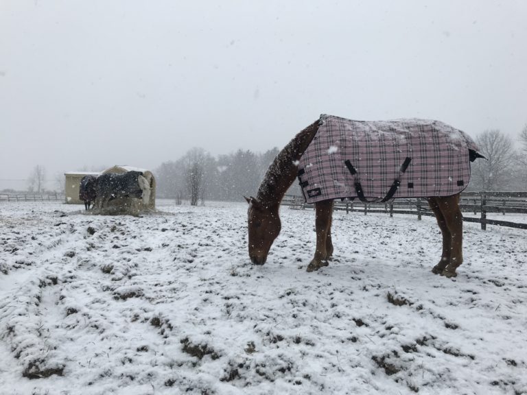 WinterBlanket_Oliynyk copy