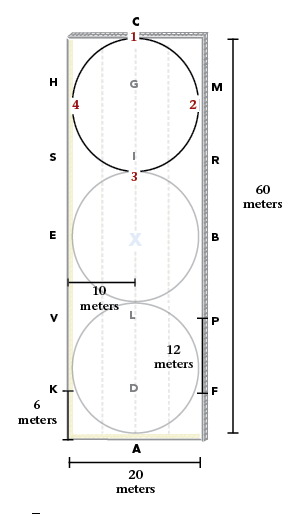 dressage101arena20metercircles